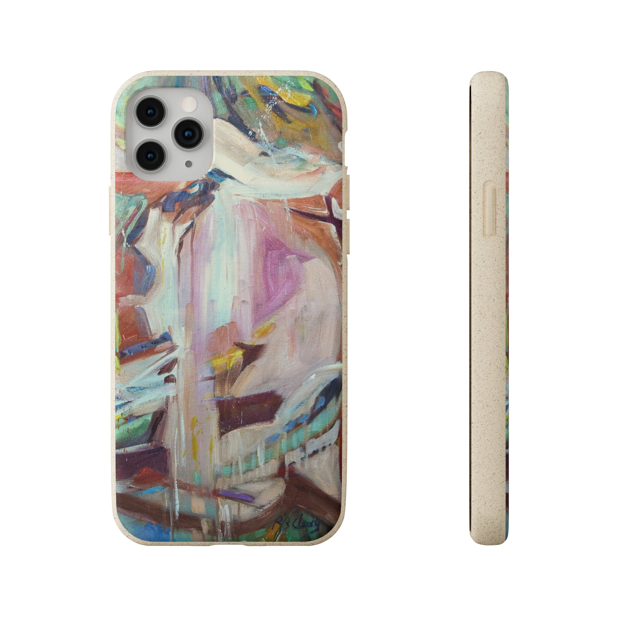 Biodegradable Phone Case with 'All Seasons' Abstract Original Artwork by Barbara Cleary-22