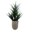 110cm Artificial Agave Tropical Display in Pot Artificial