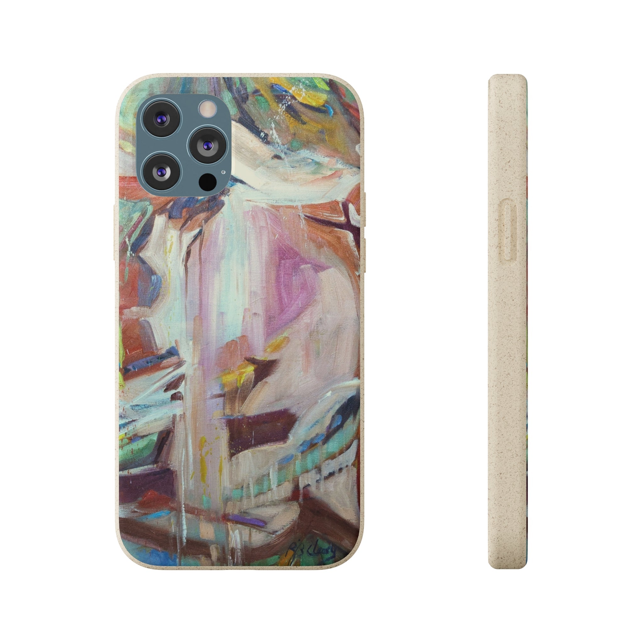 Biodegradable Phone Case with 'All Seasons' Abstract Original Artwork by Barbara Cleary-20