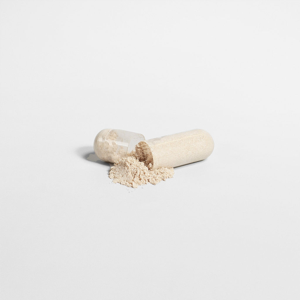Ascended Mind Brain & Focus Nootropic Formula-4