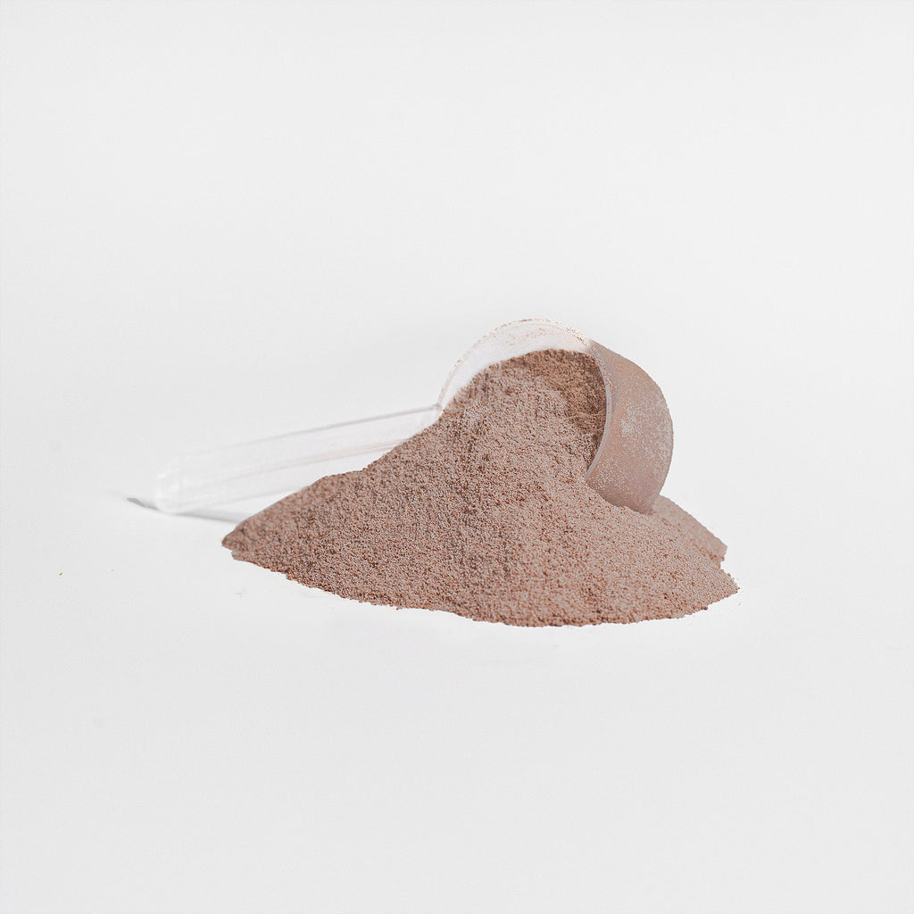 Warrior Nutrition 100% Whey Protein Isolate & MCT Oil (Rich Chocolate)-3