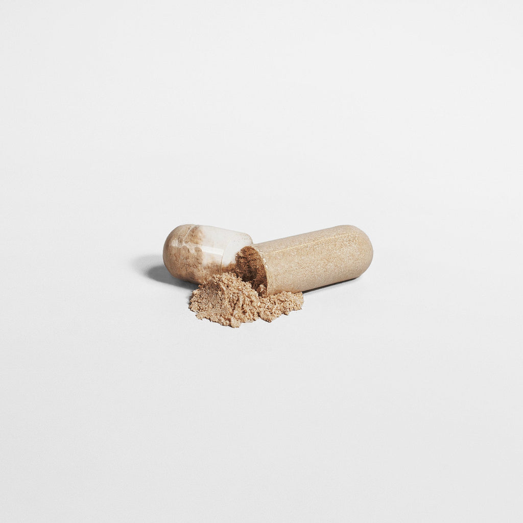 Ascended Mushroom Blend-4