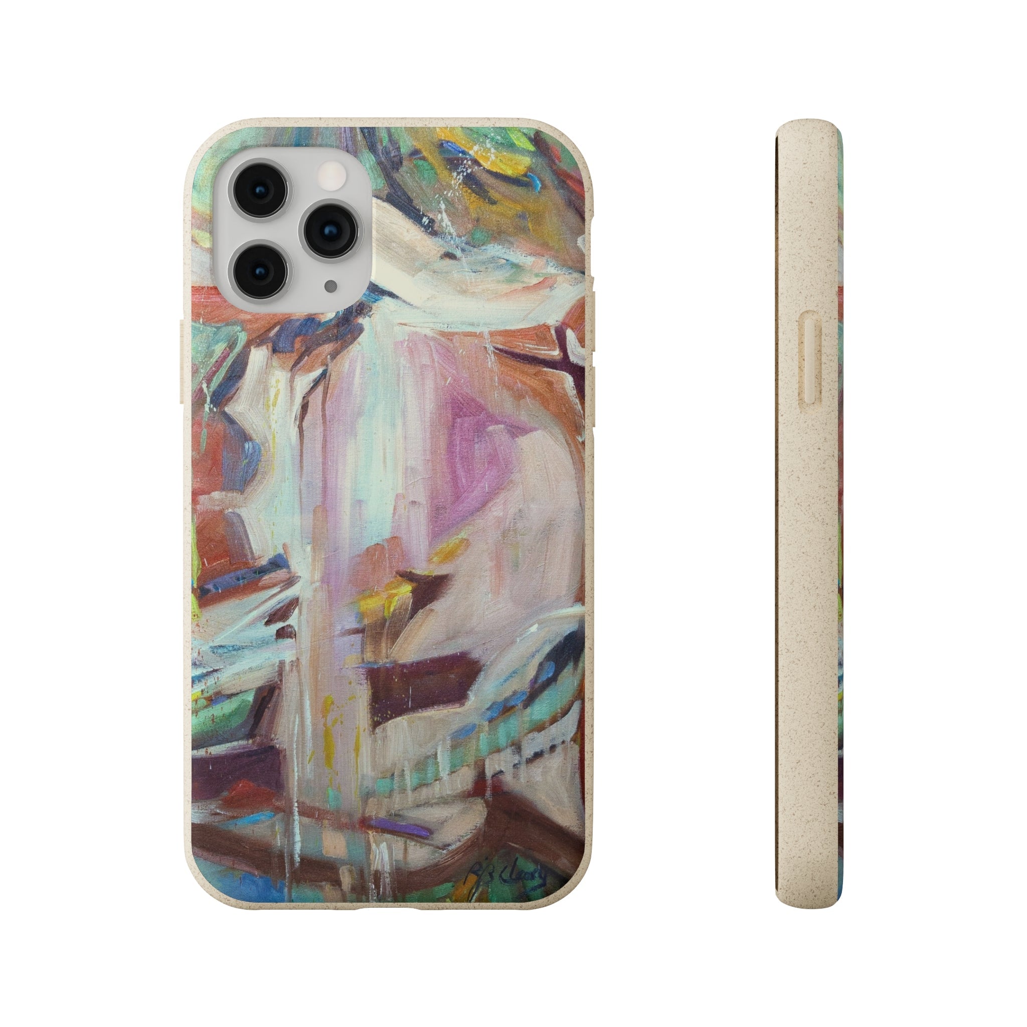 Biodegradable Phone Case with 'All Seasons' Abstract Original Artwork by Barbara Cleary-1