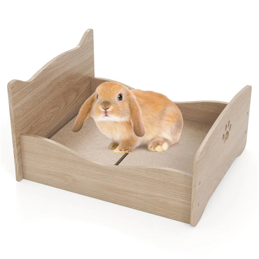 e8a8c74184716ff0e0c09e835b600d82