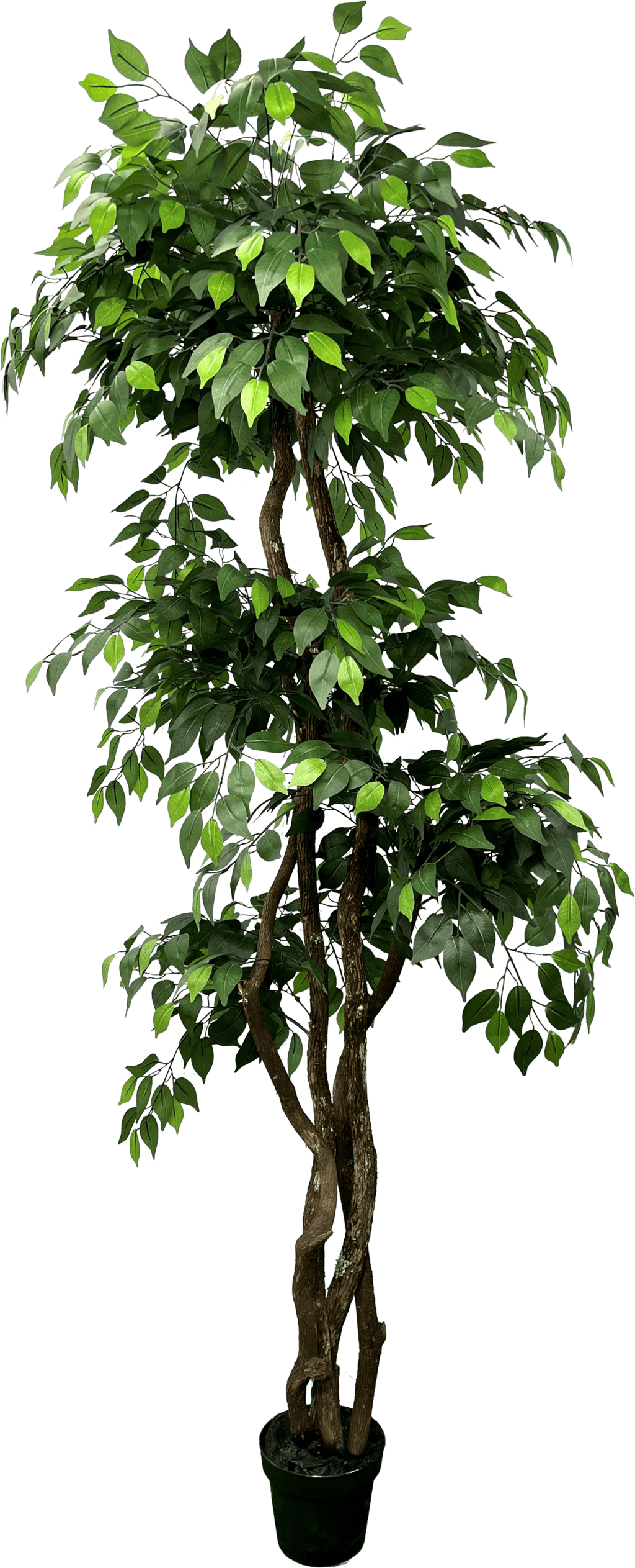 6.5' Luxury Realistic Artificial Ficus Tree-1