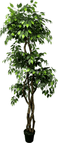 6.5' Luxury Realistic Artificial Ficus Tree-5