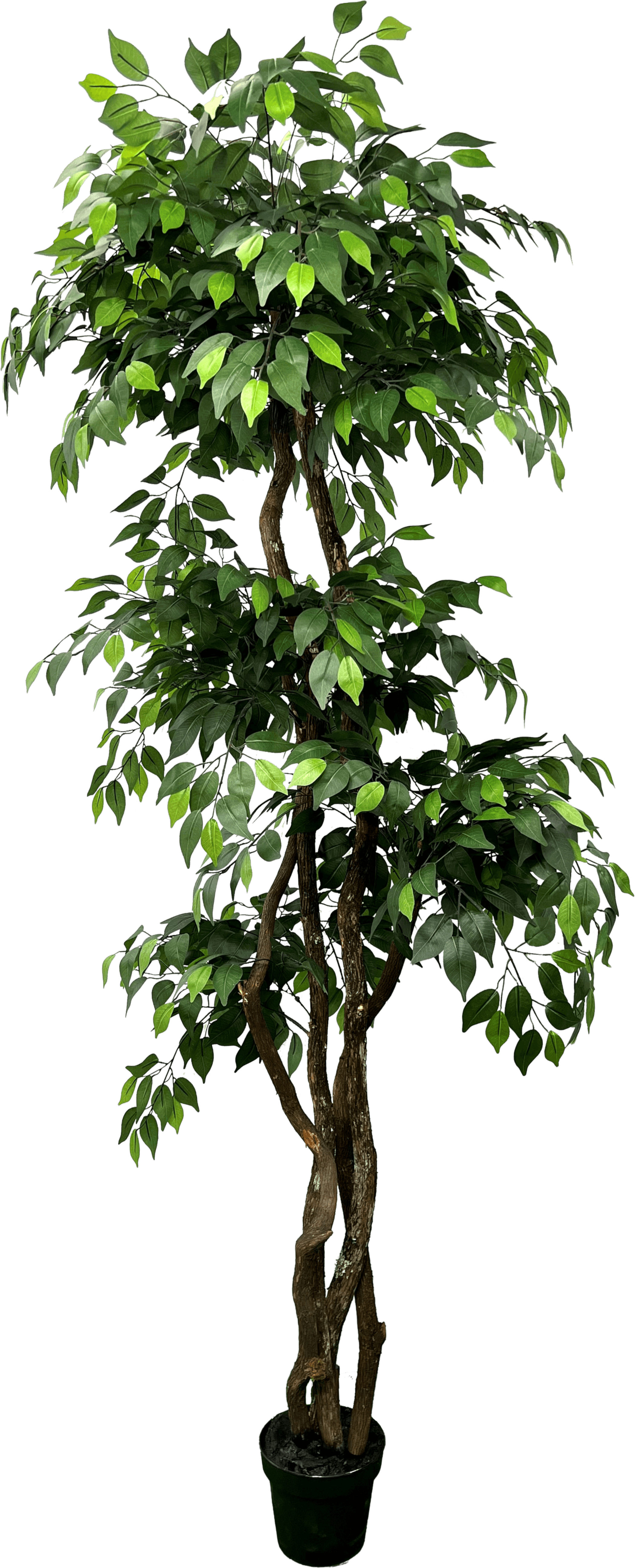 6.5' Luxury Realistic Artificial Ficus Tree-0