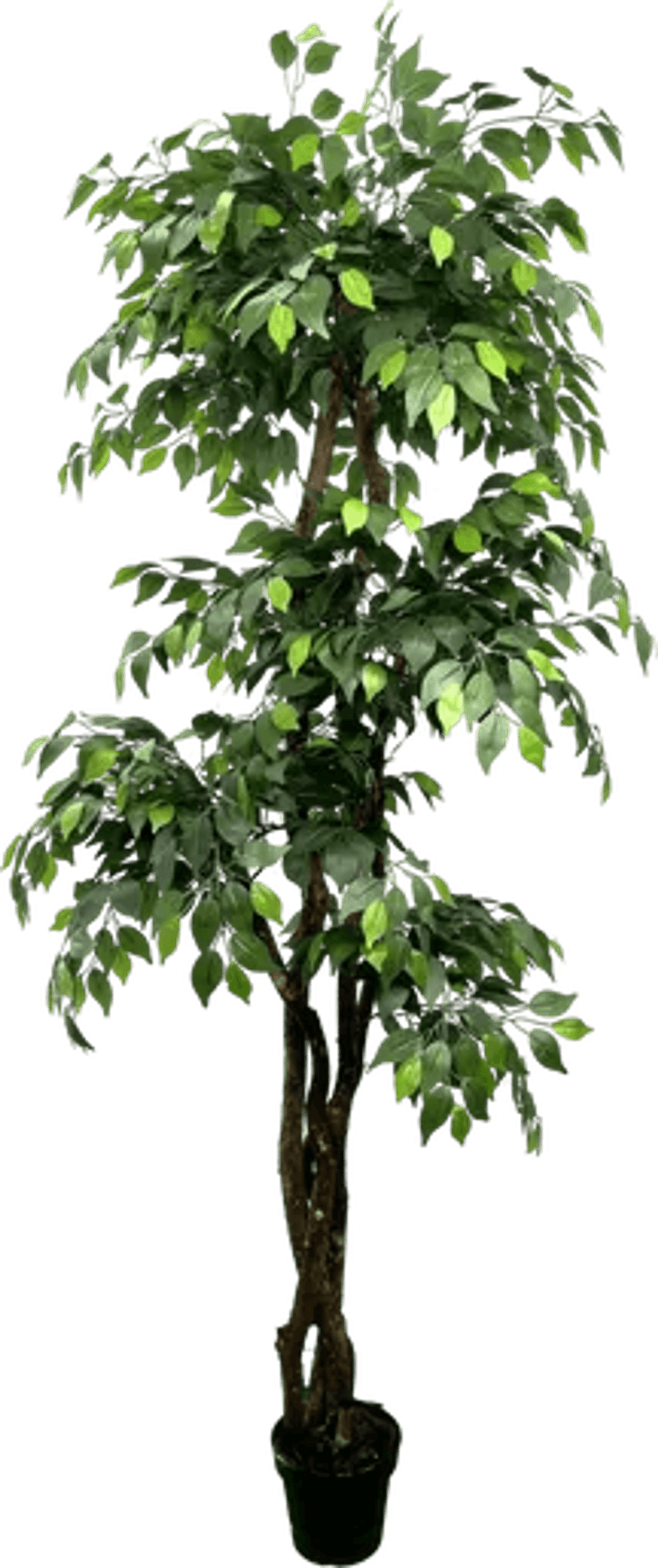 6.5' Luxury Realistic Artificial Ficus Tree-2
