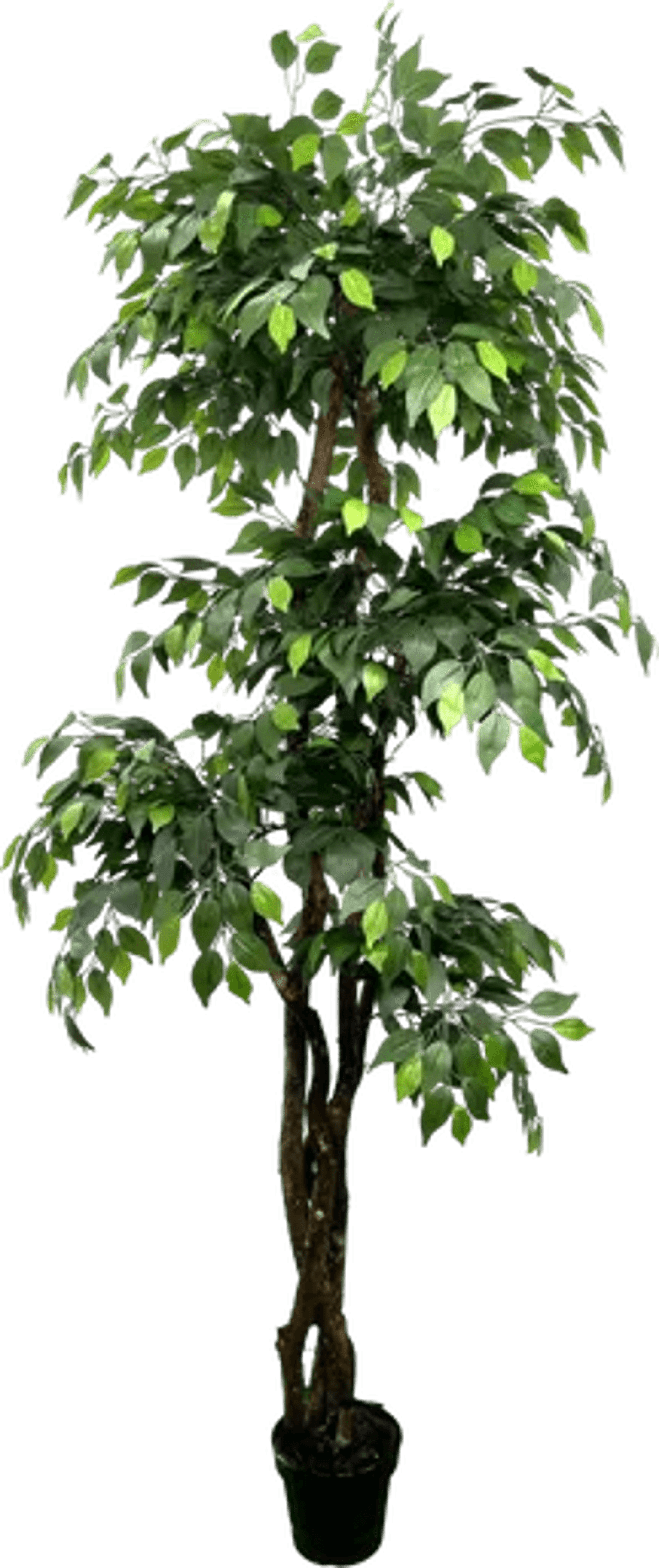 6.5' Luxury Realistic Artificial Ficus Tree-2