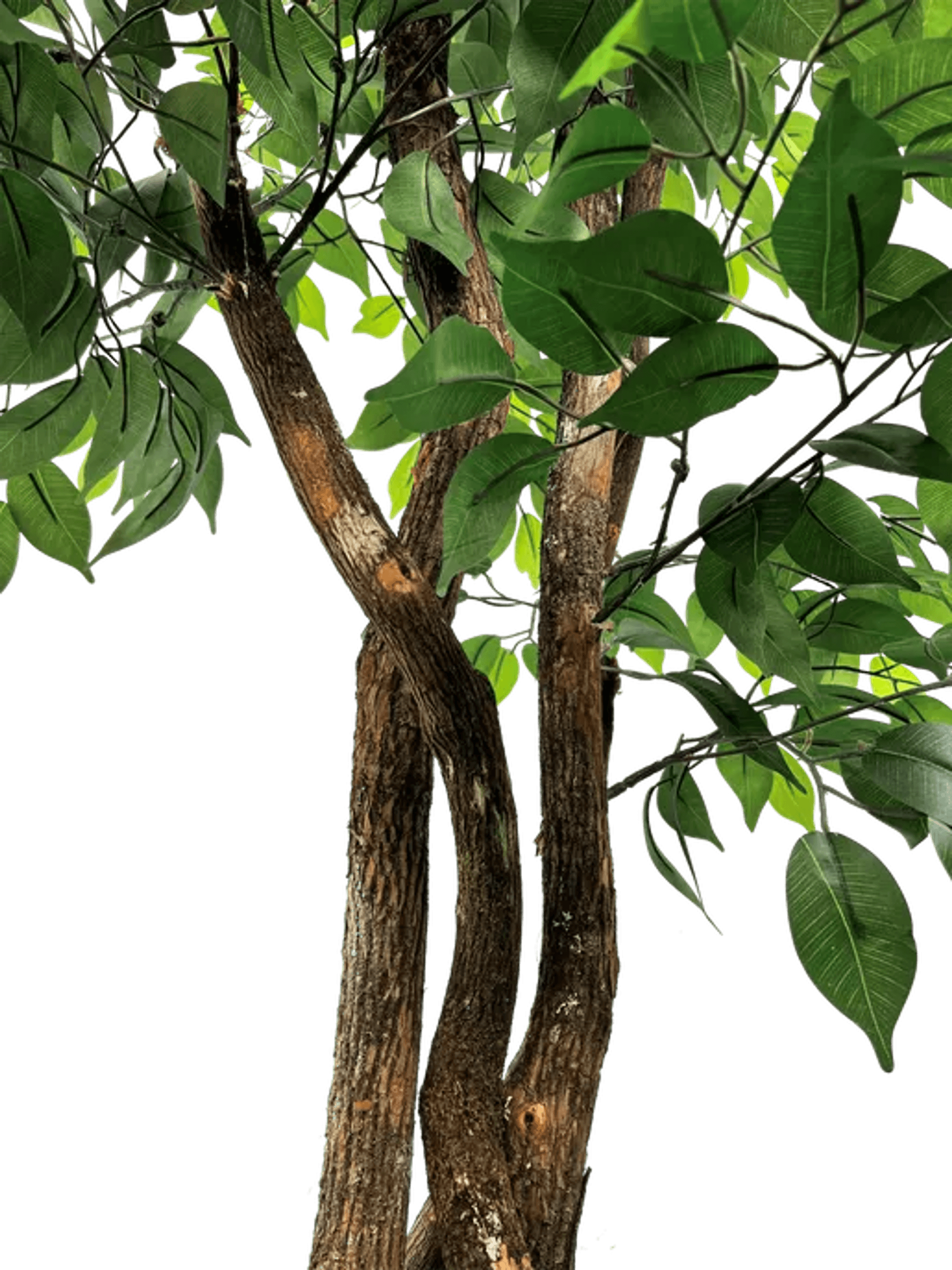 6.5' Luxury Realistic Artificial Ficus Tree-3