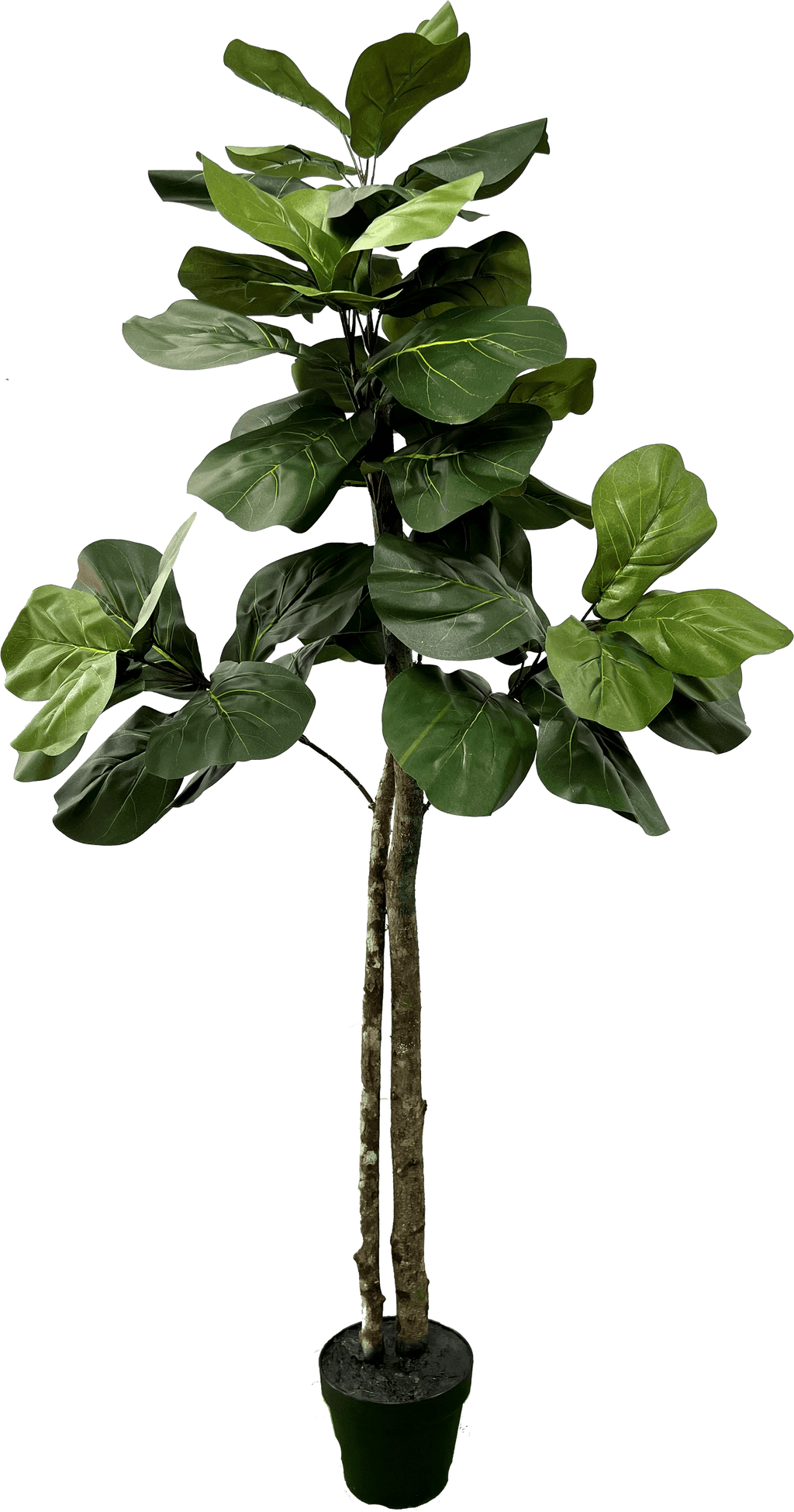 Elegant 5' Designer Artificial Fig Tree With Realistic Wood Trunk-1