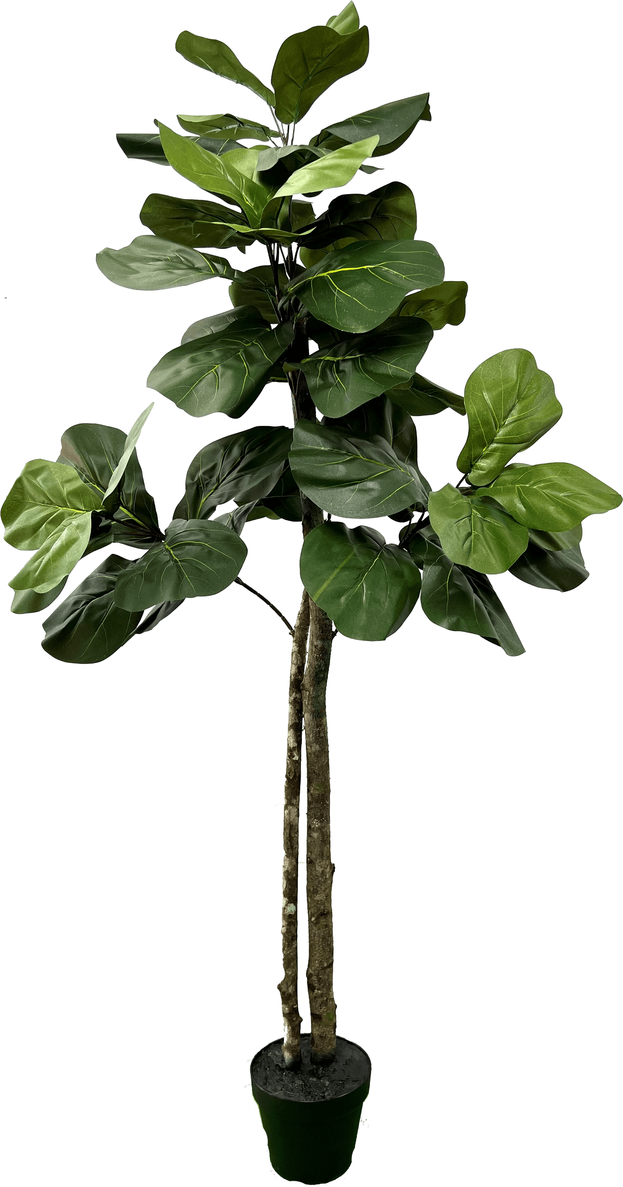 Elegant 5' Designer Artificial Fig Tree With Realistic Wood Trunk-1
