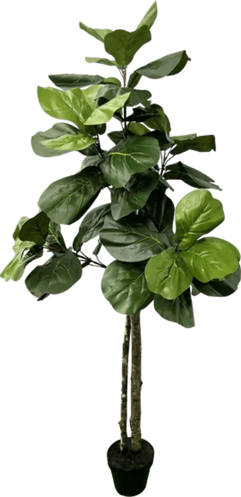 Elegant 5' Designer Artificial Fig Tree With Realistic Wood Trunk-2