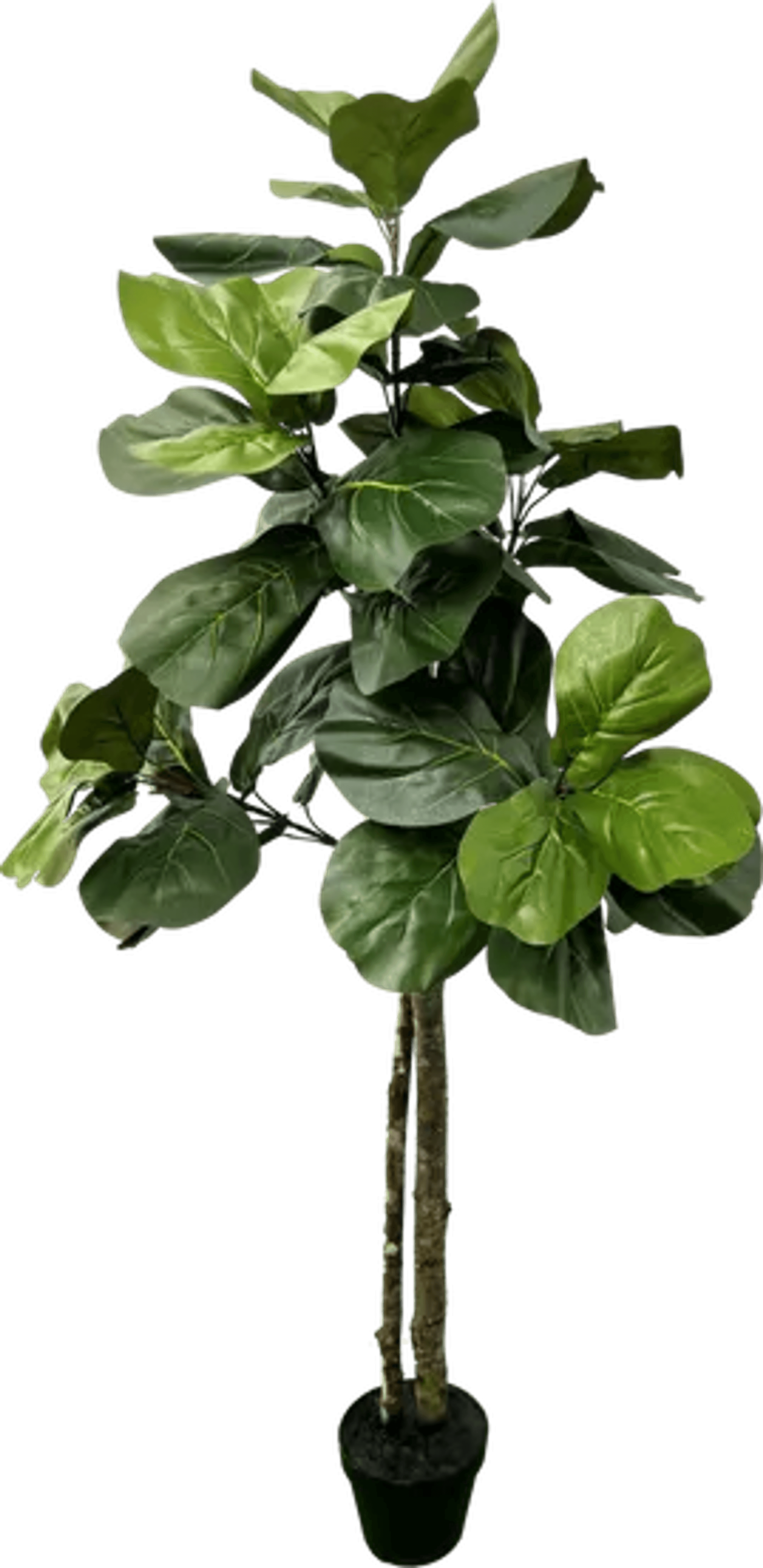 Elegant 5' Designer Artificial Fig Tree With Realistic Wood Trunk-2