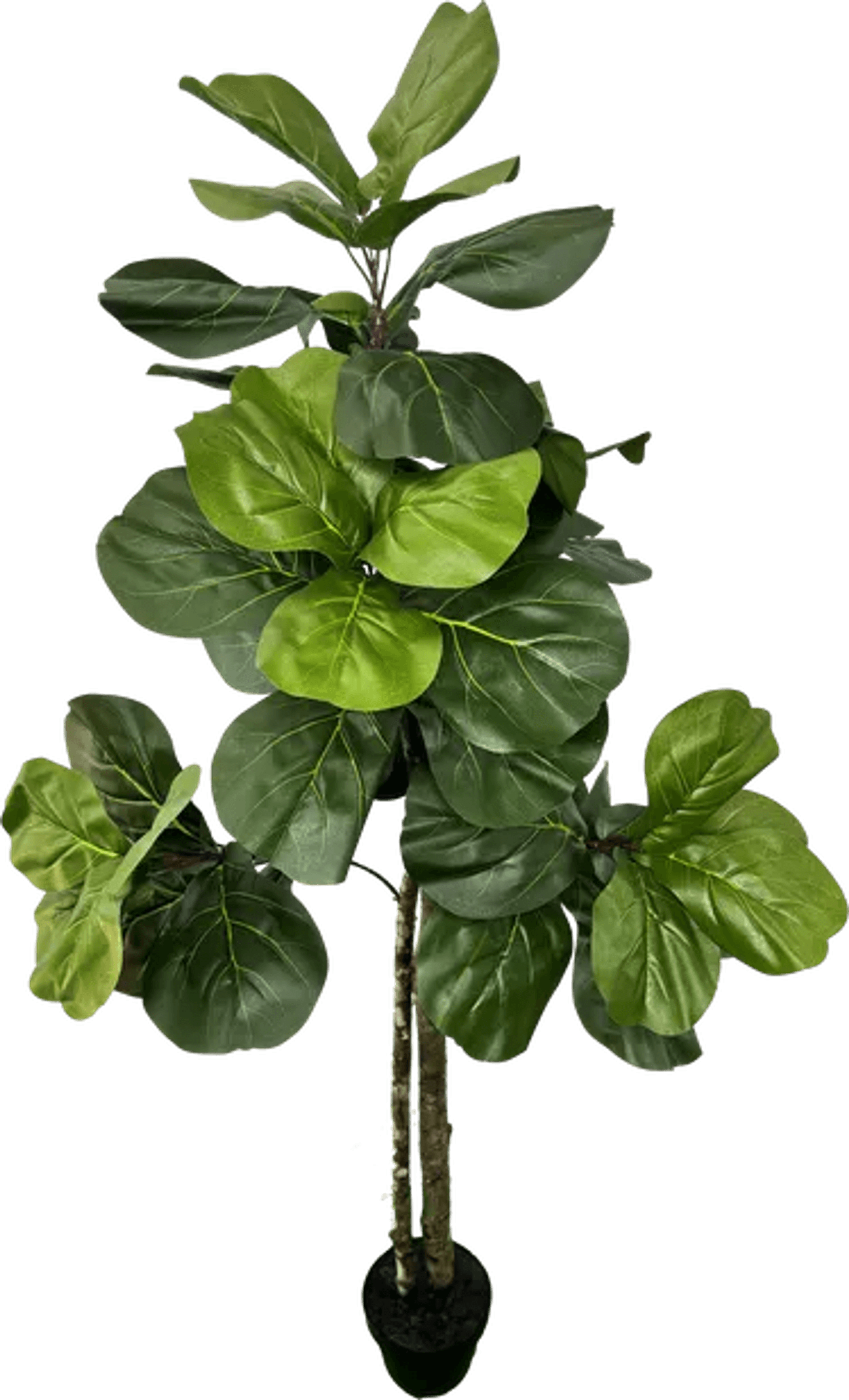 Elegant 5' Designer Artificial Fig Tree With Realistic Wood Trunk-3