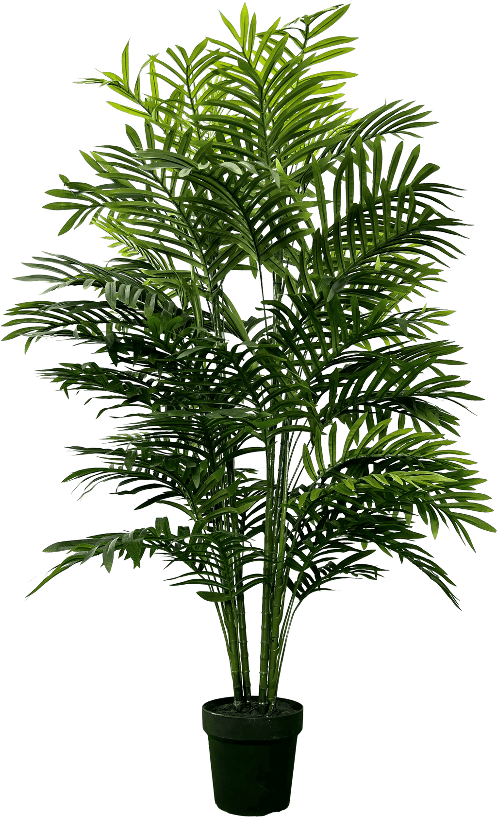 5' Realistic Artificial Double Phoenix Palm-5