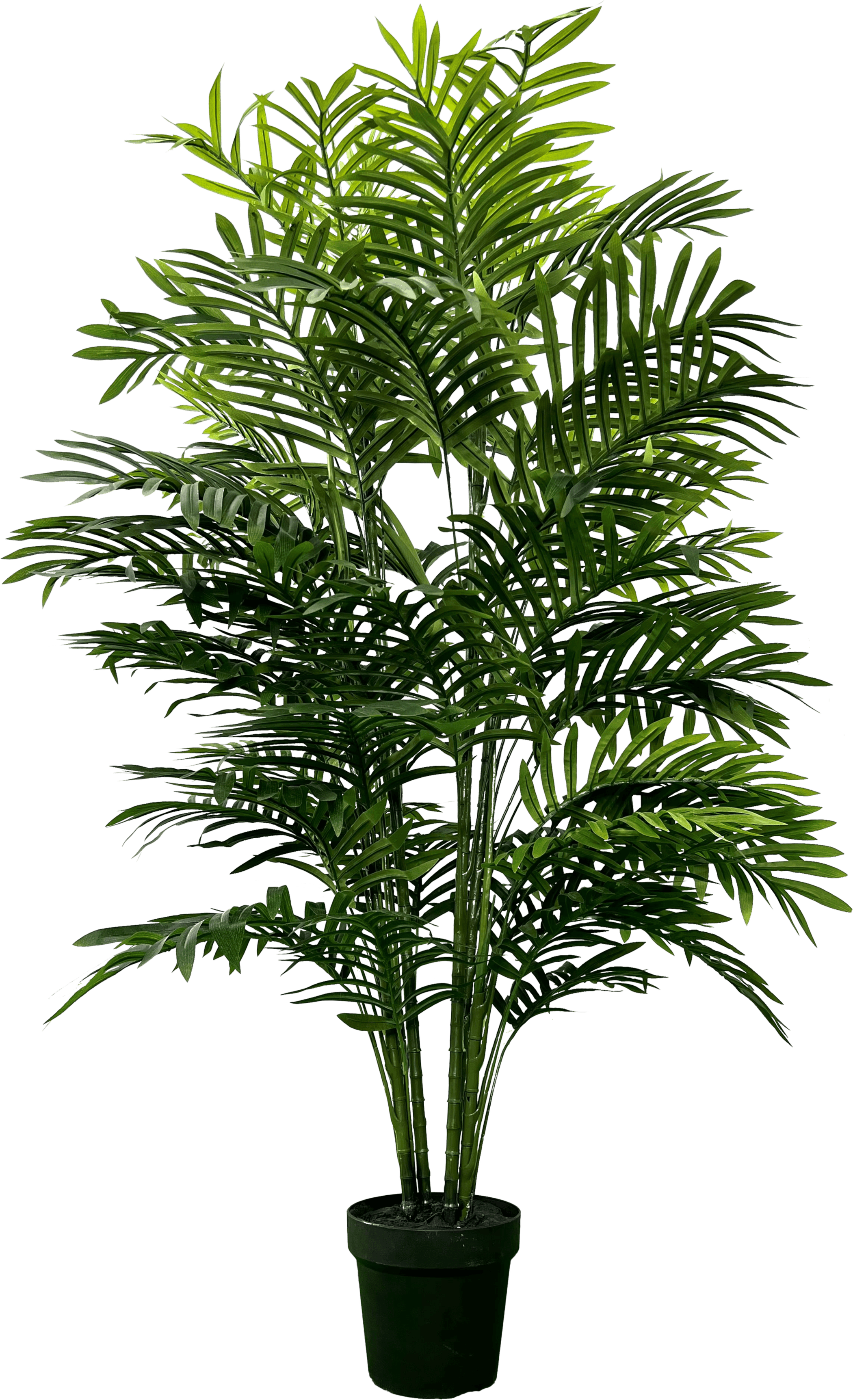 5' Realistic Artificial Double Phoenix Palm-0