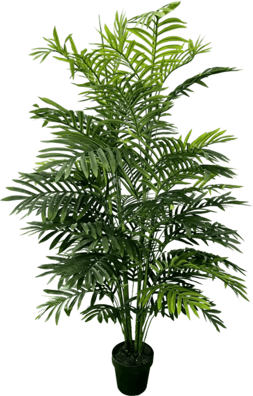 5' Realistic Artificial Double Phoenix Palm-4