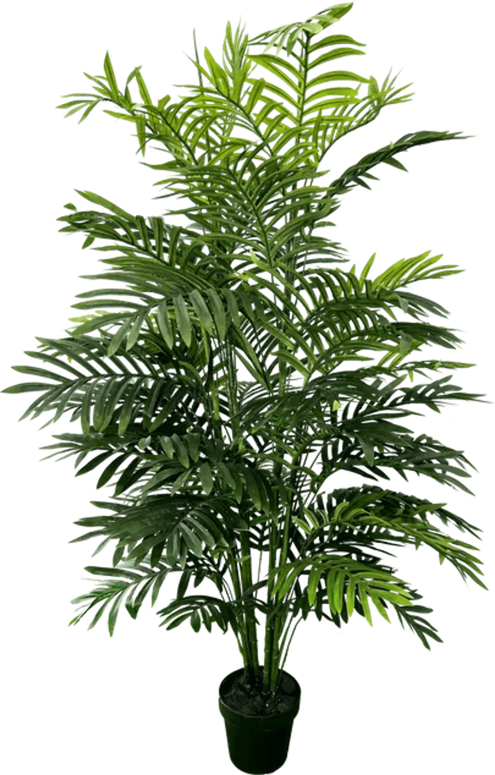 5' Realistic Artificial Double Phoenix Palm-4