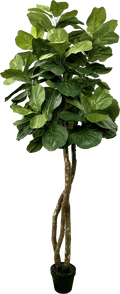 6' Designer Artificial Fig Tree With Realistic Leaves