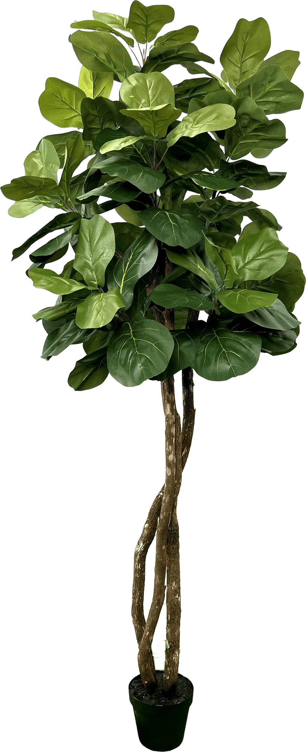 6' Designer Artificial Fig Tree With Realistic Leaves