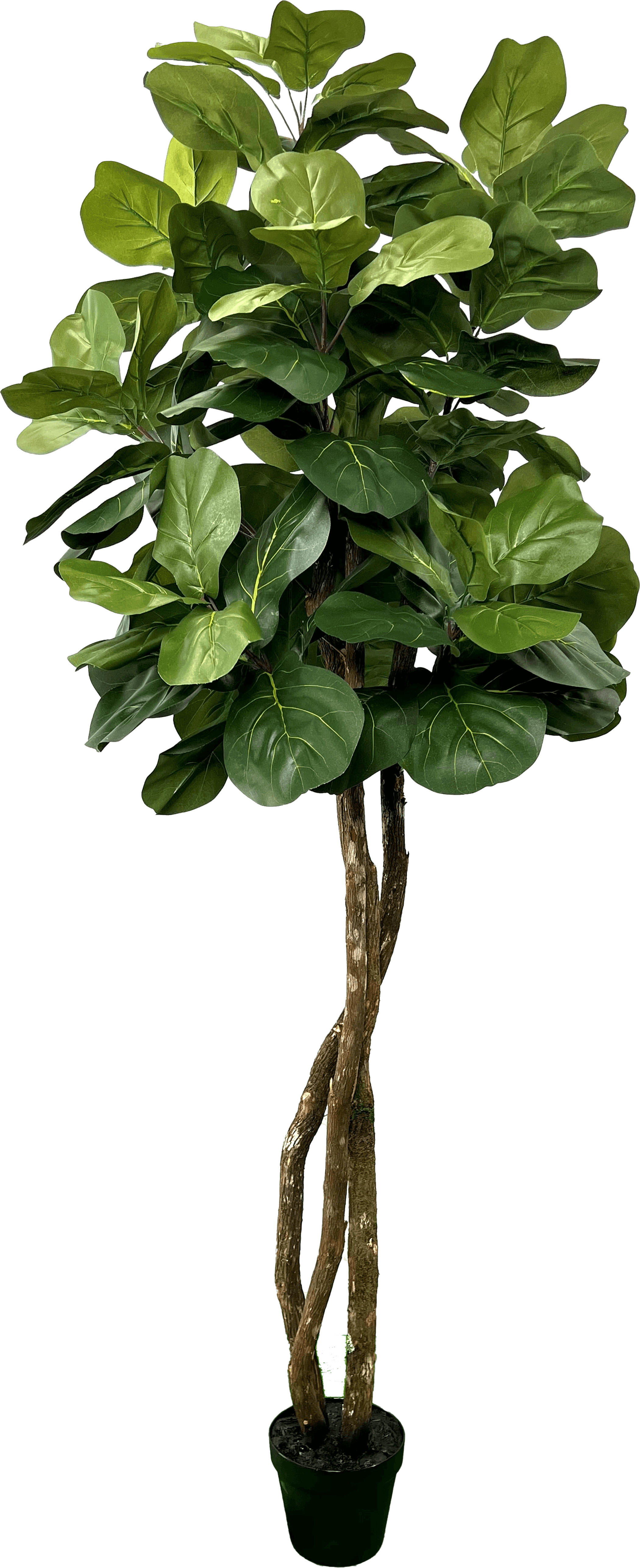 6' Designer Artificial Fig Tree With Realistic Leaves