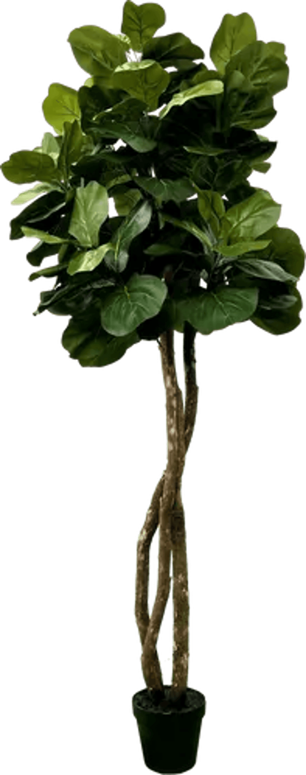 6' Designer Artificial Fig Tree With Realistic Leaves