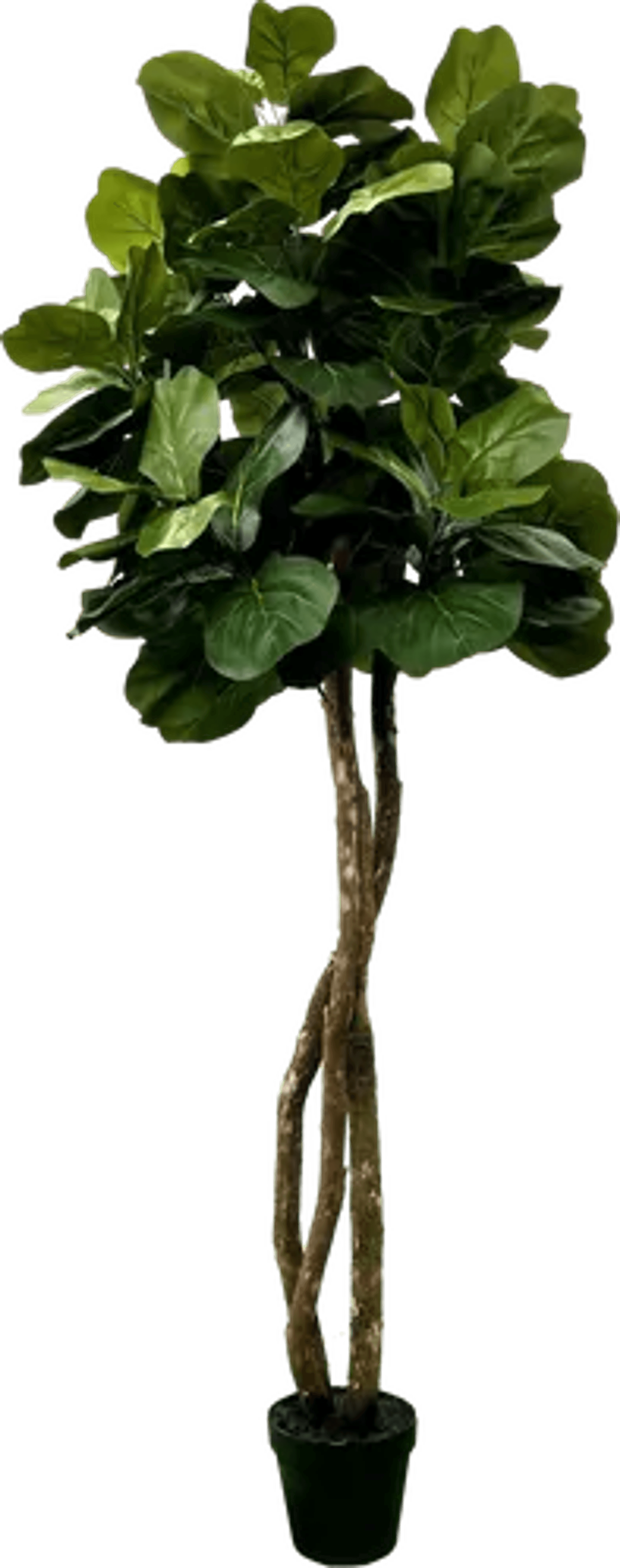 6' Designer Artificial Fig Tree With Realistic Leaves