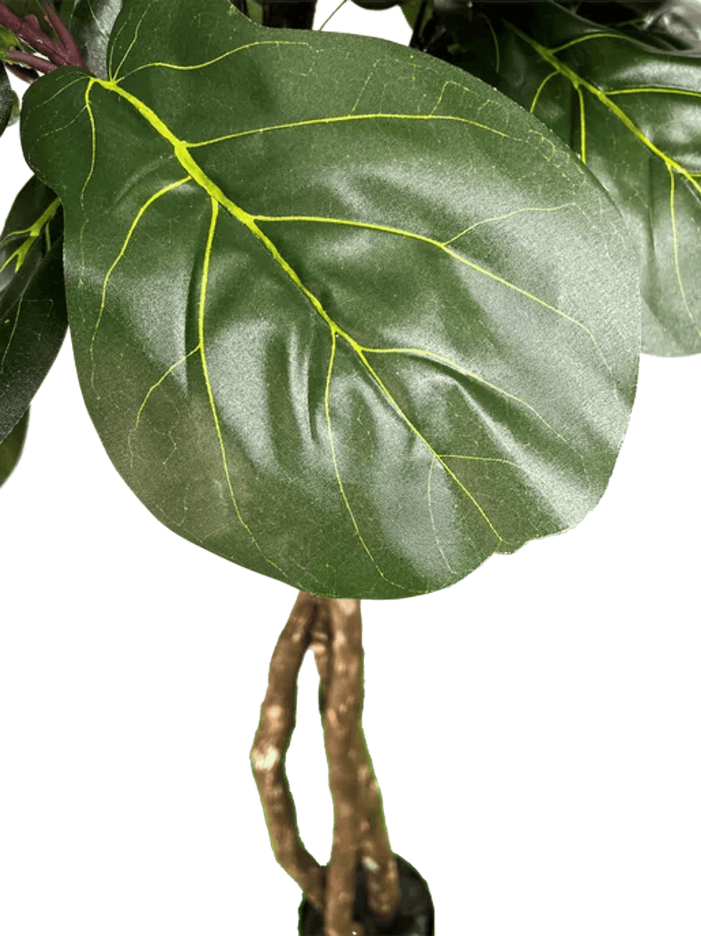 6' Designer Artificial Fig Tree With Realistic Leaves