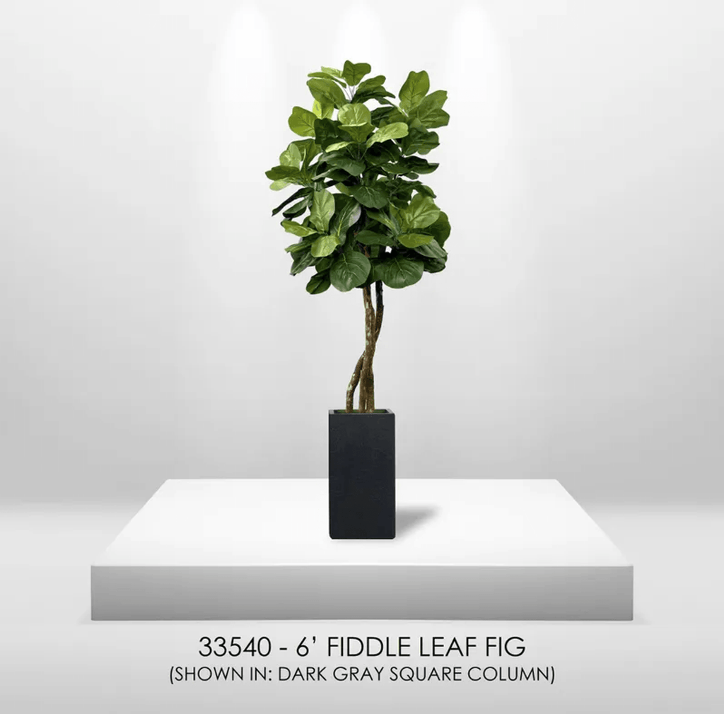 6' Designer Artificial Fig Tree With Realistic Leaves
