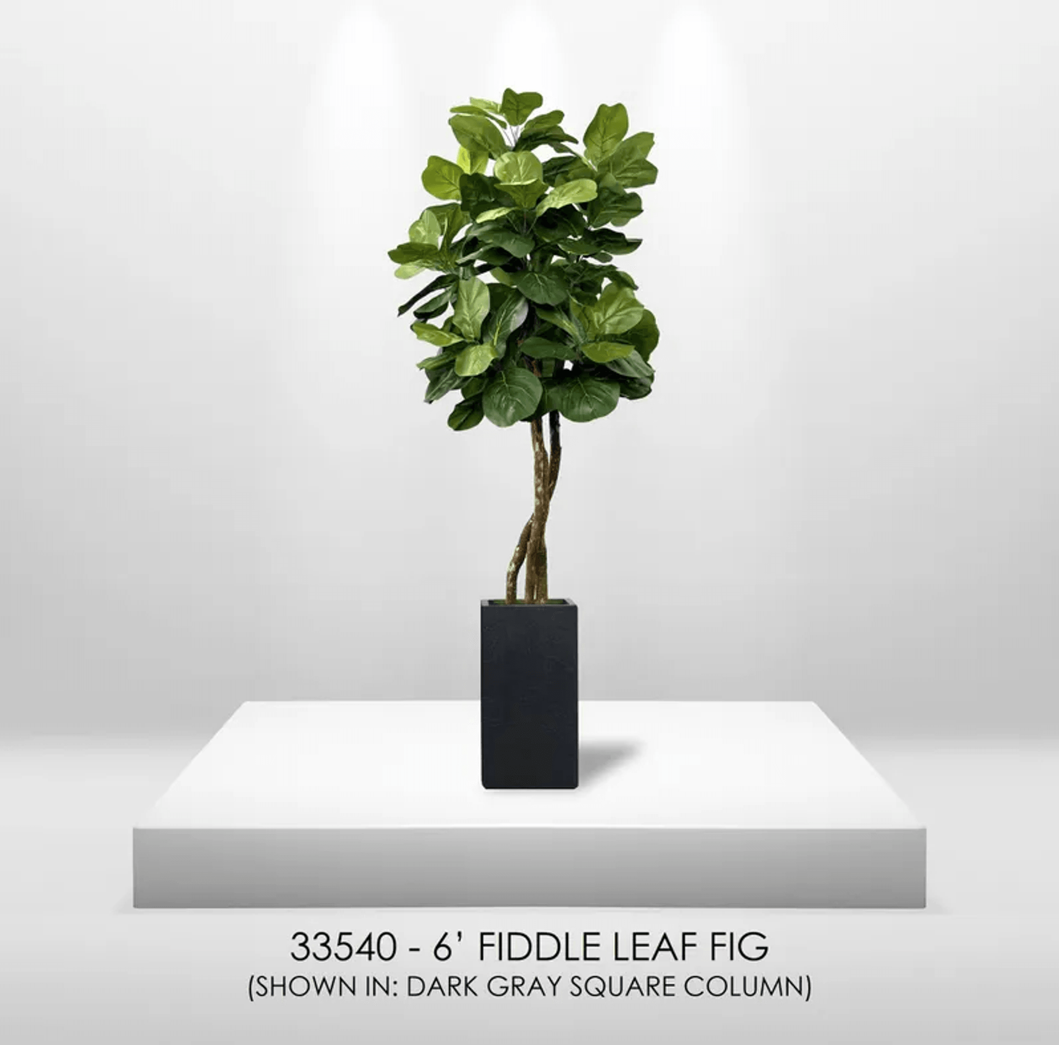 6' Designer Artificial Fig Tree With Realistic Leaves