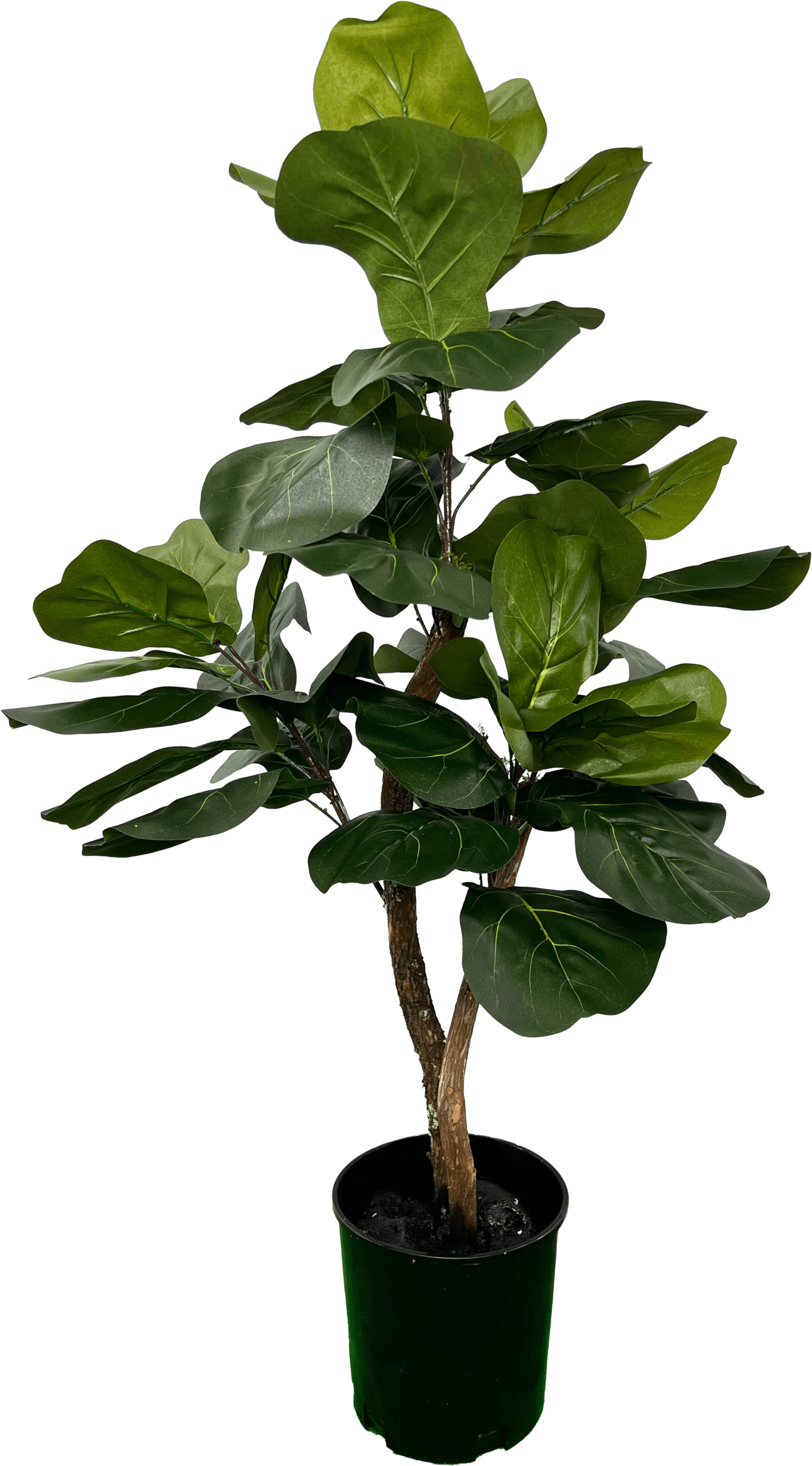 3' Realistic Designer Artificial Fig Tree With Wood Trunk-0