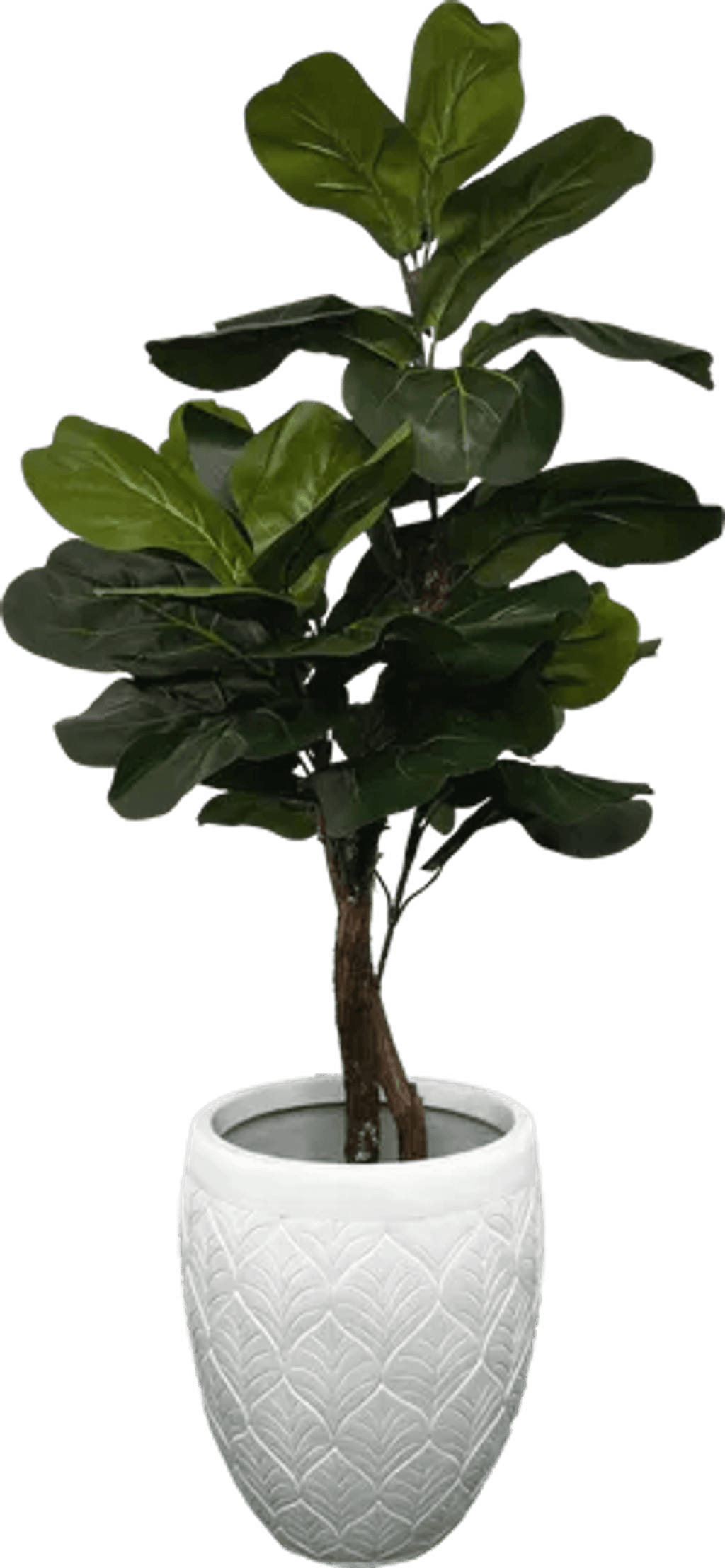 3' Realistic Designer Artificial Fig Tree With Wood Trunk-2