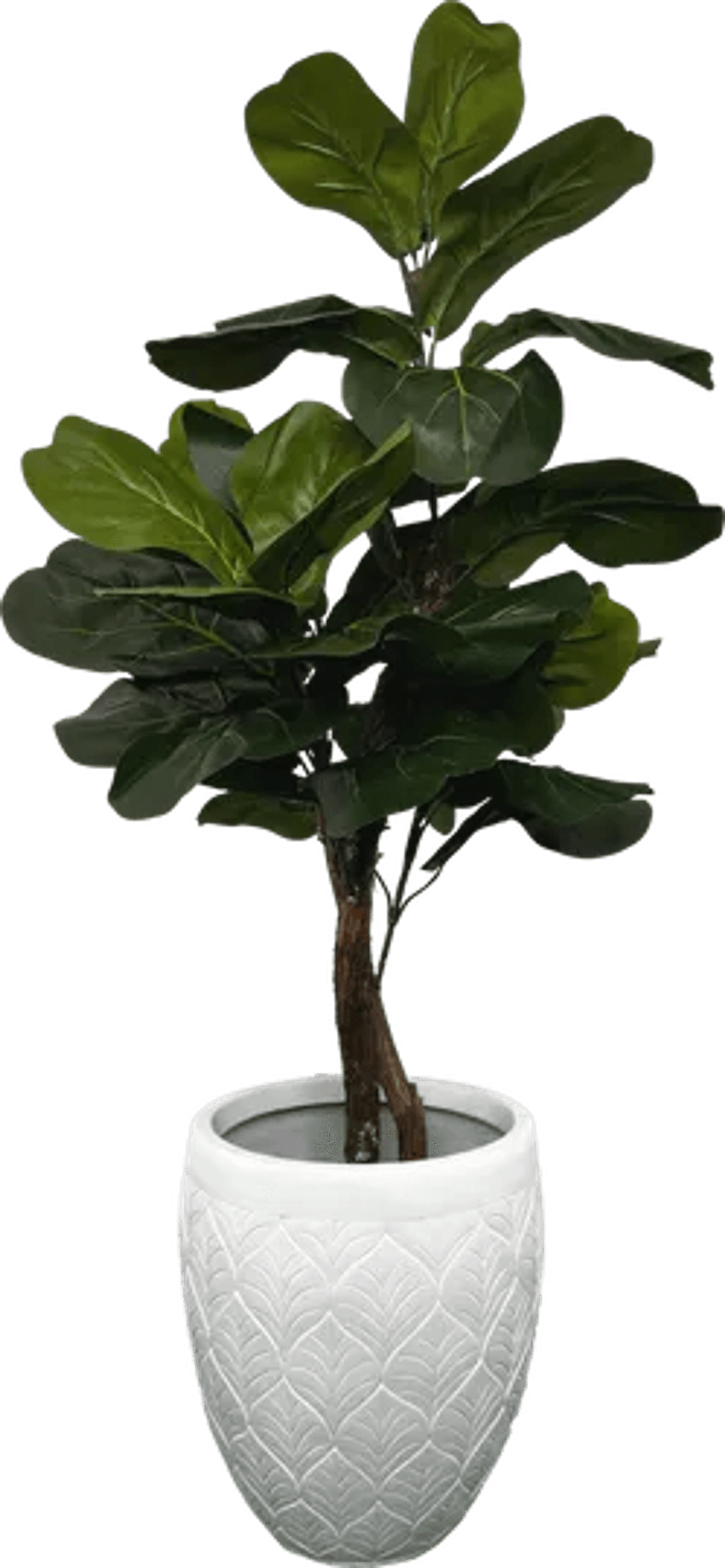 3' Realistic Designer Artificial Fig Tree With Wood Trunk-2