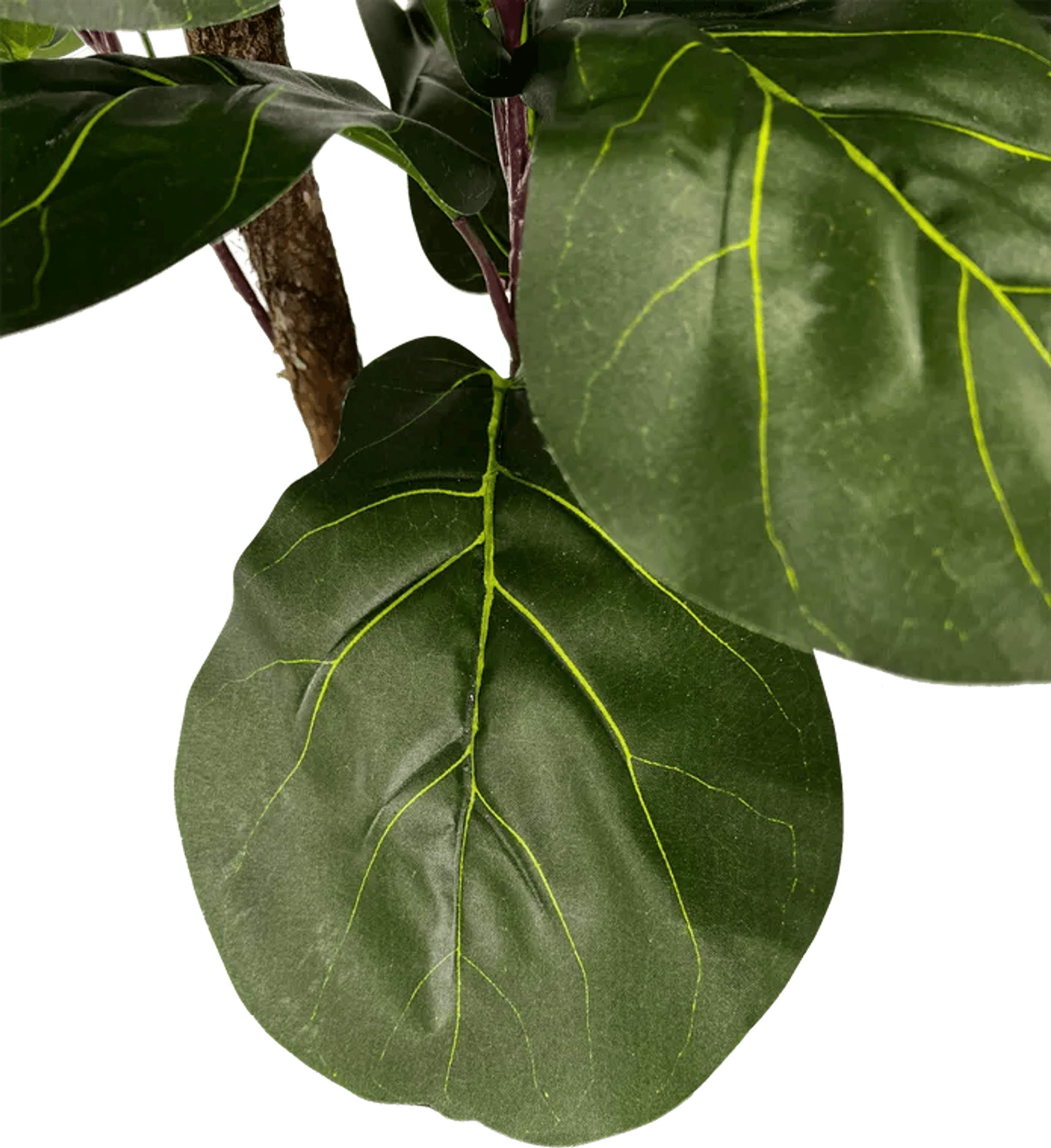 3' Realistic Designer Artificial Fig Tree With Wood Trunk-3
