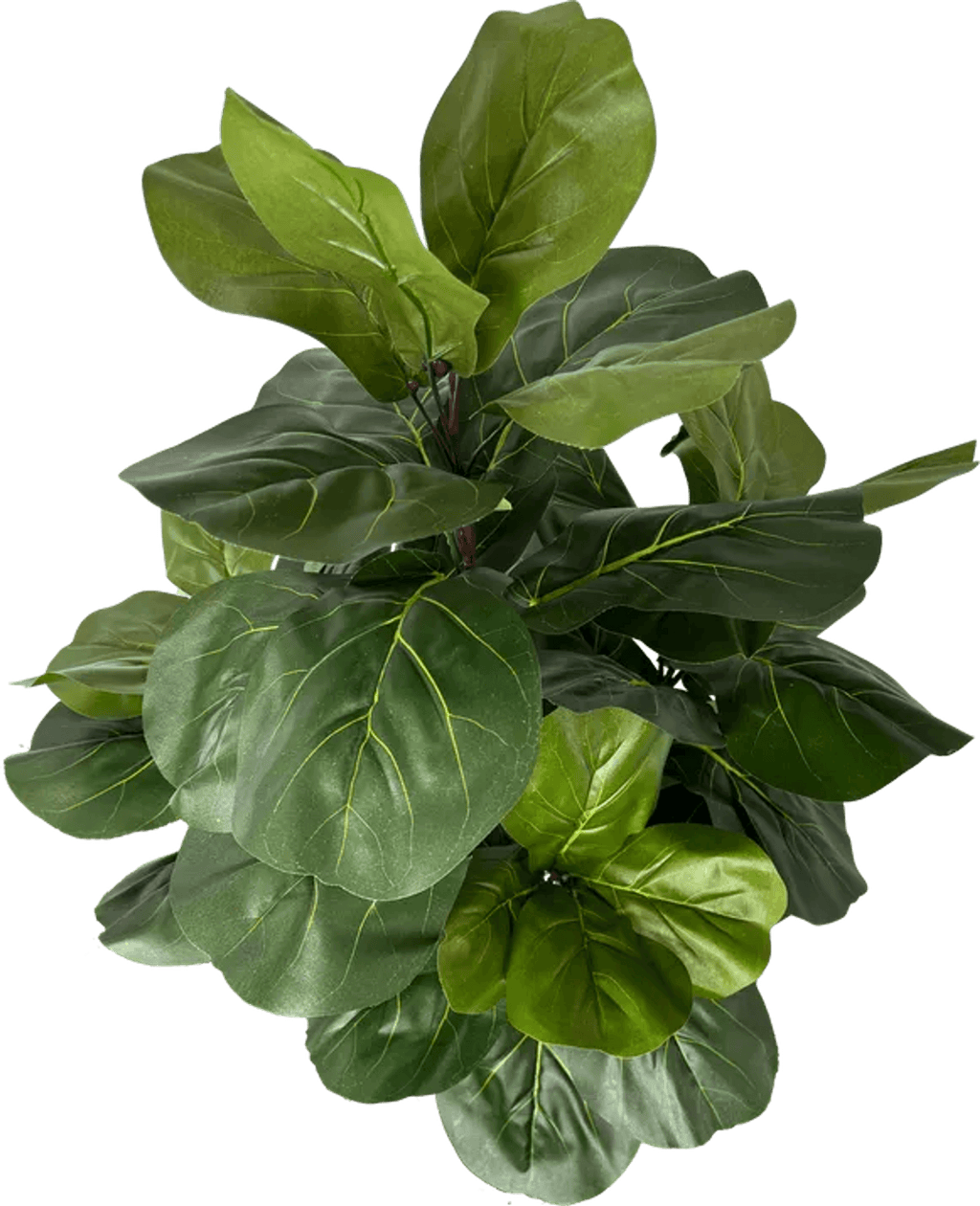 3' Realistic Designer Artificial Fig Tree With Wood Trunk-4