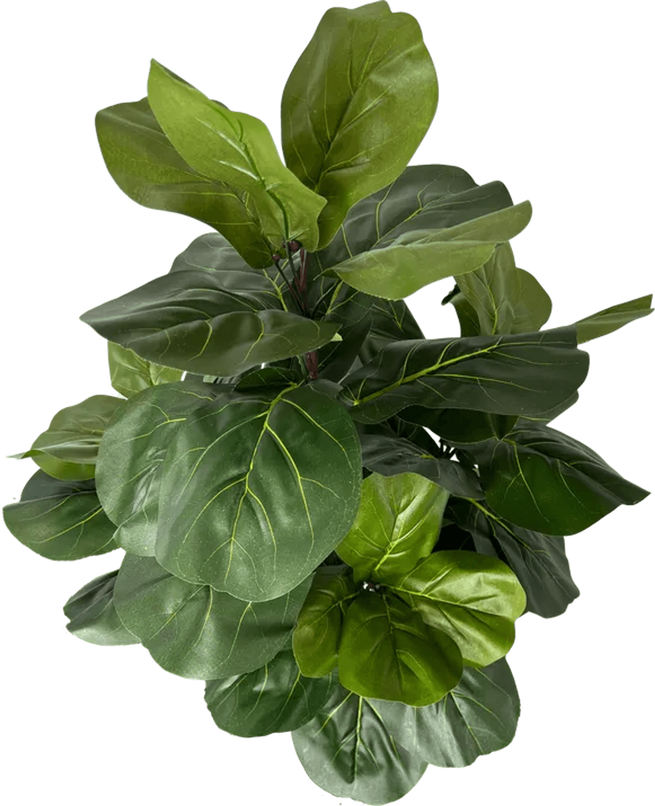 3' Realistic Designer Artificial Fig Tree With Wood Trunk-4