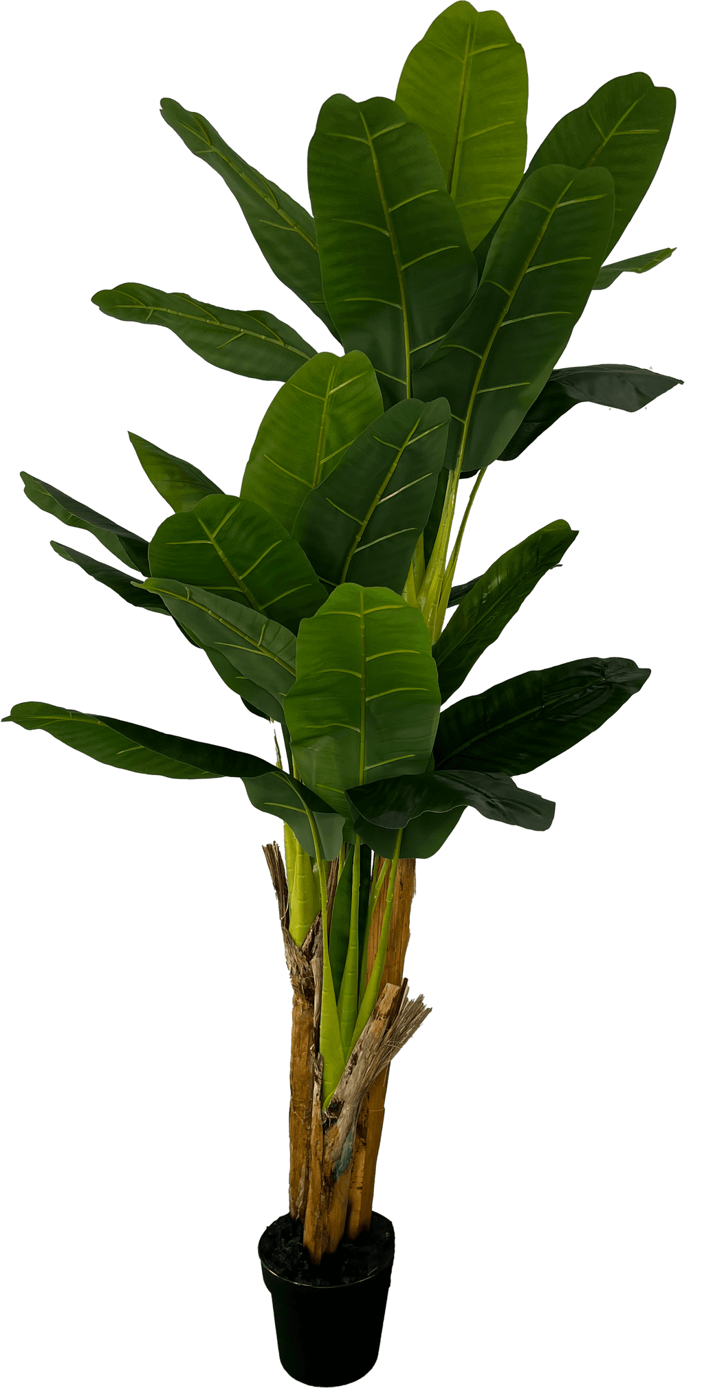 Deluxe 6' Artificial Banana Plant For Indoor/Outdoor Decor-5