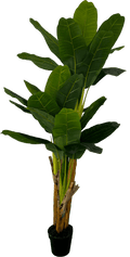 Deluxe 6' Artificial Banana Plant For Indoor/Outdoor Decor-5
