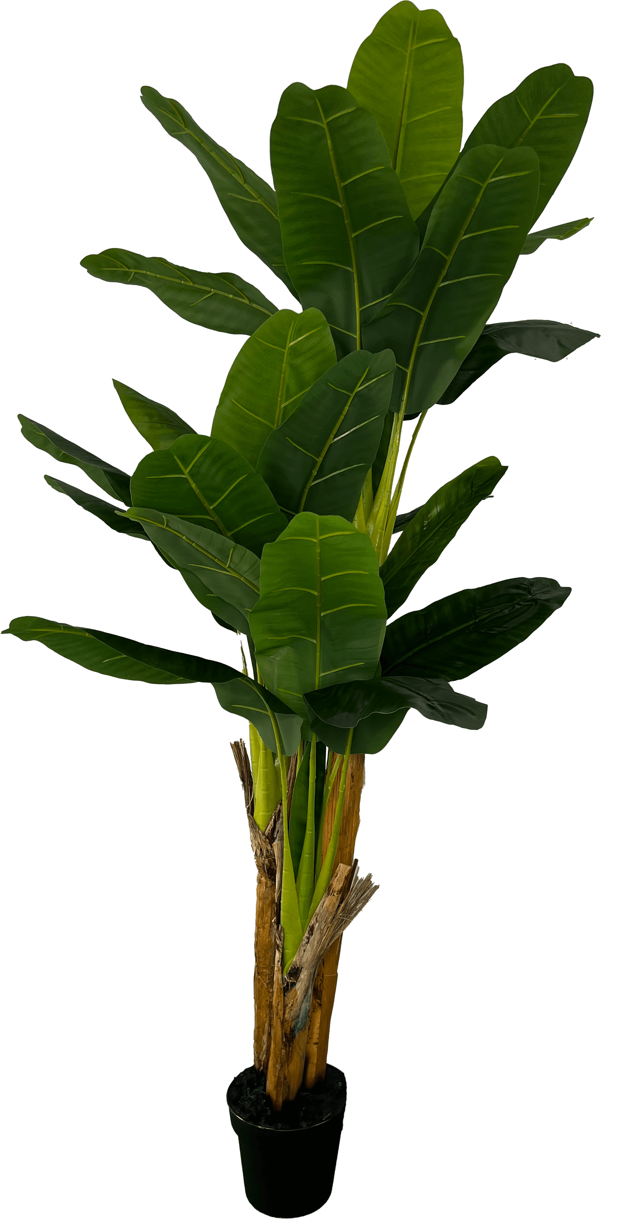 Deluxe 6' Artificial Banana Plant For Indoor/Outdoor Decor-5