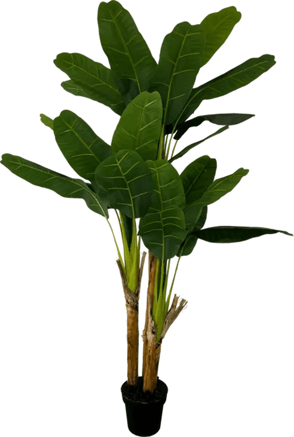 Deluxe 6' Artificial Banana Plant For Indoor/Outdoor Decor-2