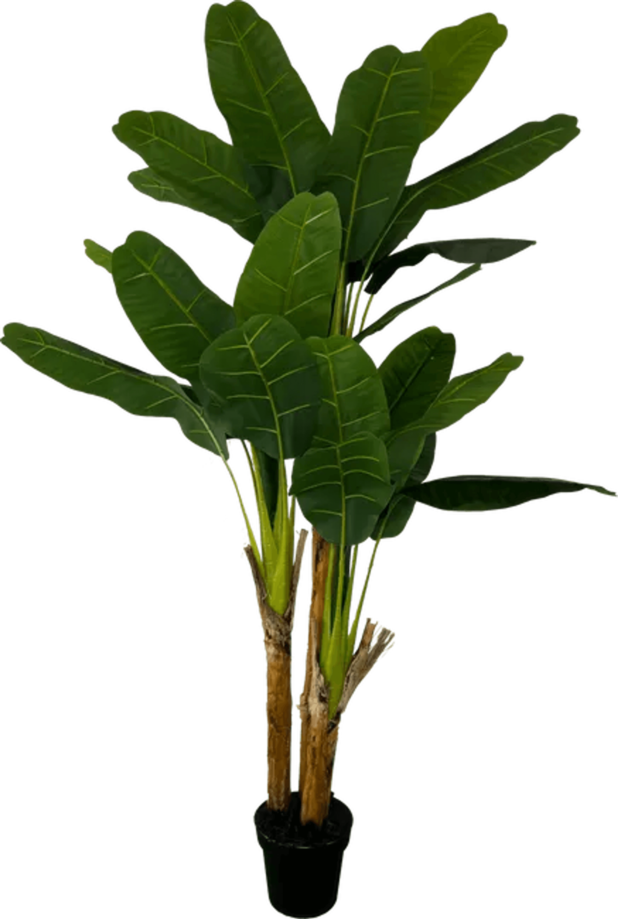 Deluxe 6' Artificial Banana Plant For Indoor/Outdoor Decor-2