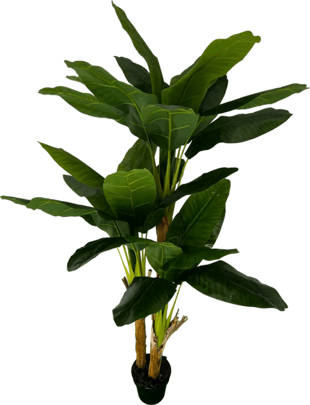 Deluxe 6' Artificial Banana Plant For Indoor/Outdoor Decor-3