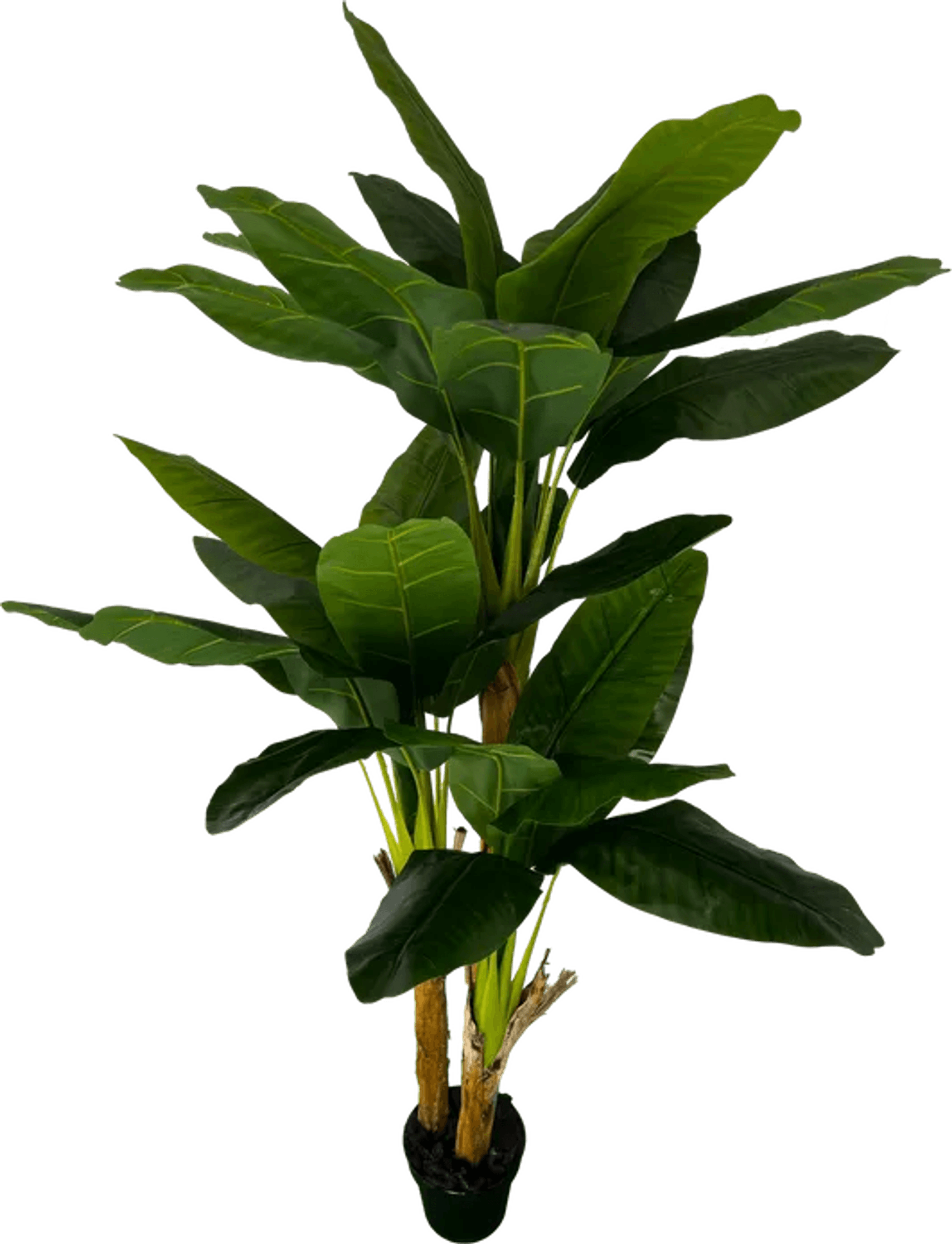 Deluxe 6' Artificial Banana Plant For Indoor/Outdoor Decor-3