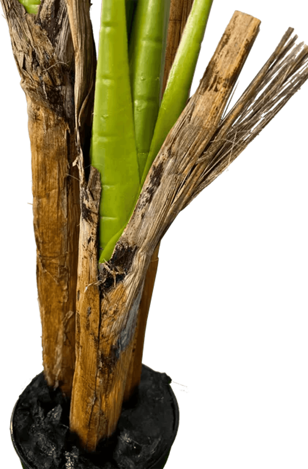 Deluxe 6' Artificial Banana Plant For Indoor/Outdoor Decor-4