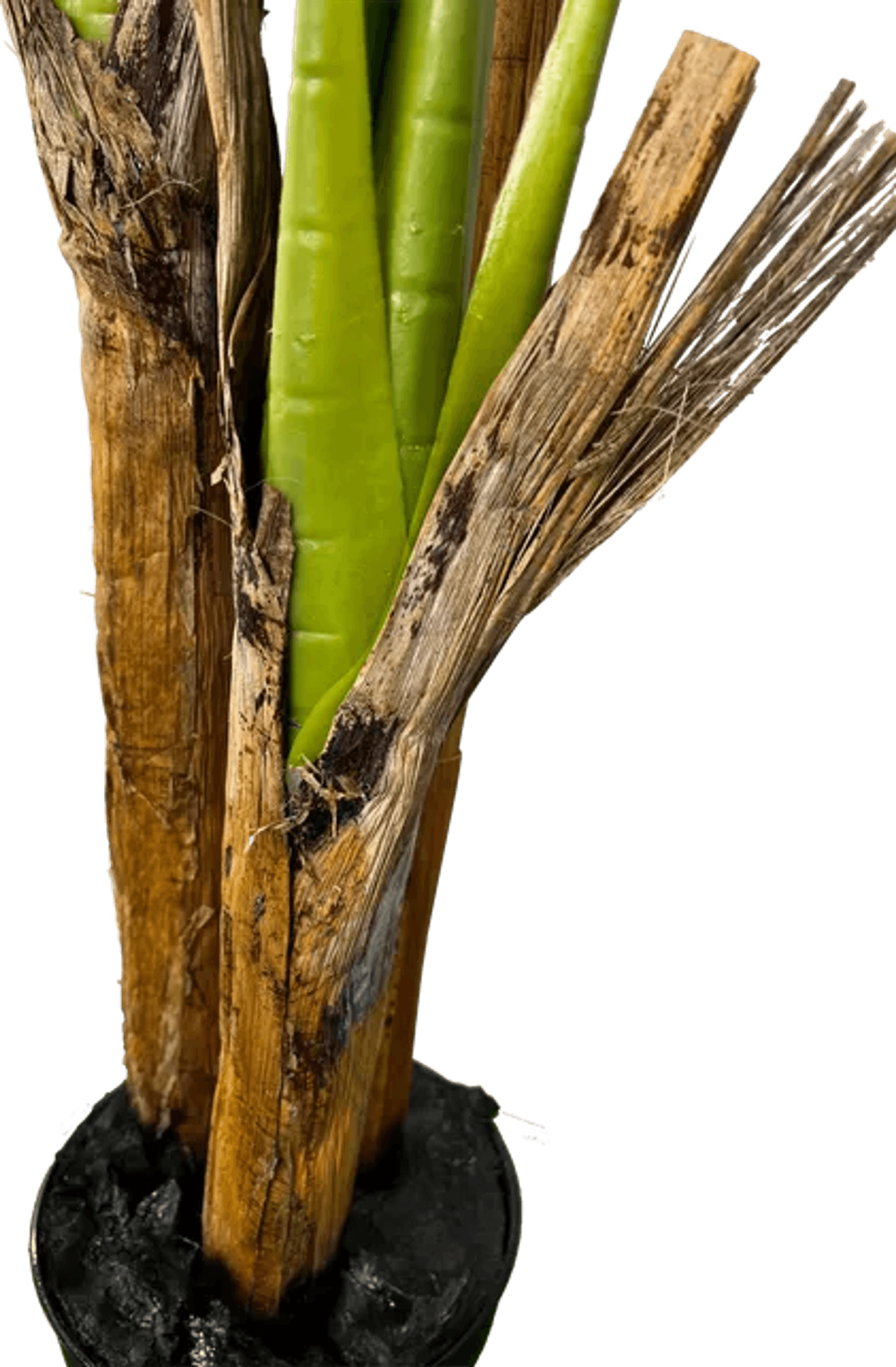 Deluxe 6' Artificial Banana Plant For Indoor/Outdoor Decor-4