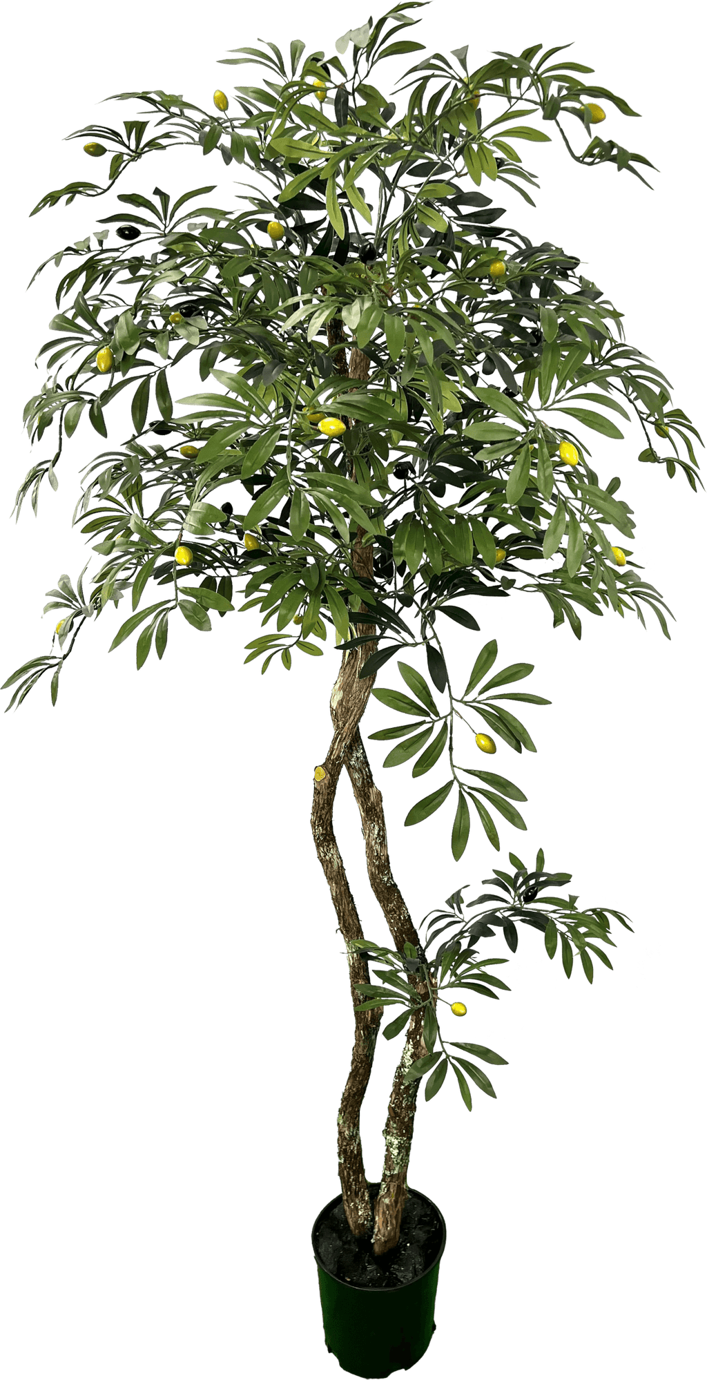 Lifelike 6' Artificial Mediterranean Olive Tree-5