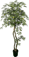 Lifelike 6' Artificial Mediterranean Olive Tree-5