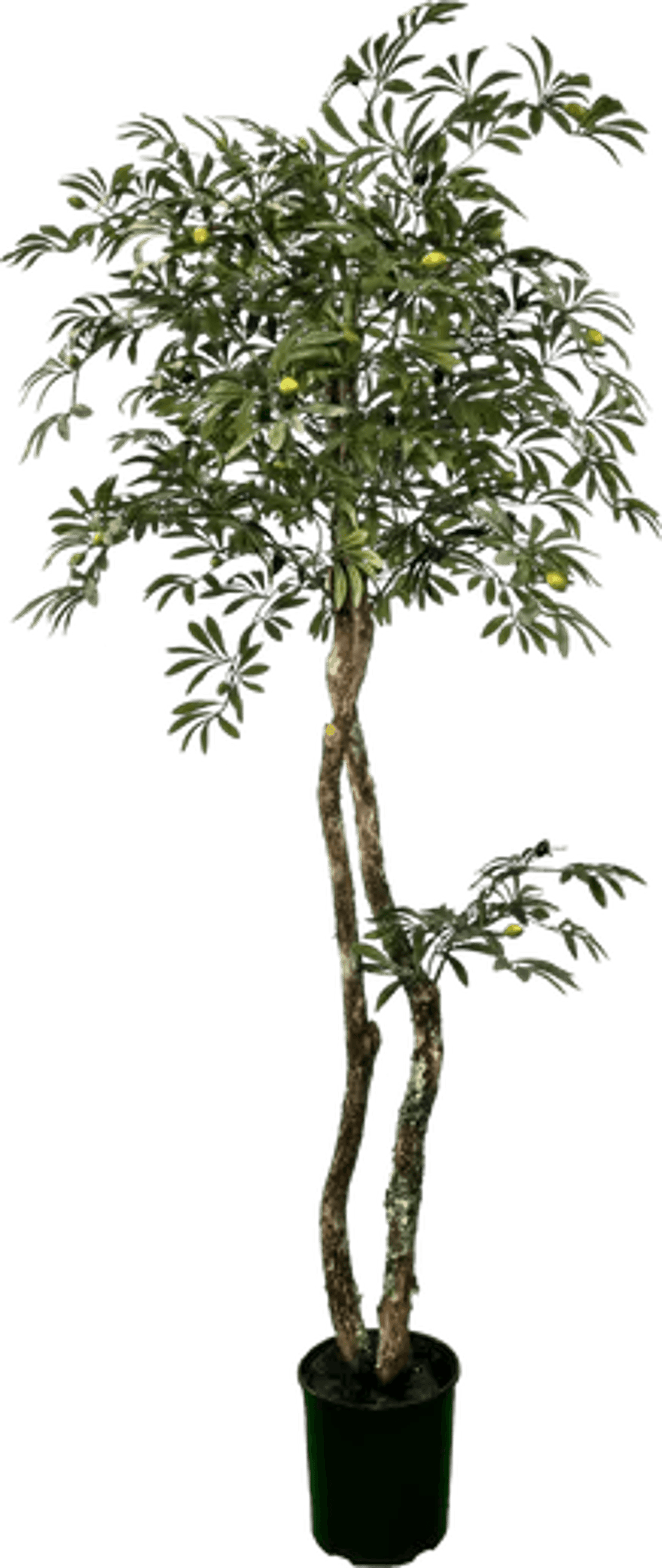Lifelike 6' Artificial Mediterranean Olive Tree-2