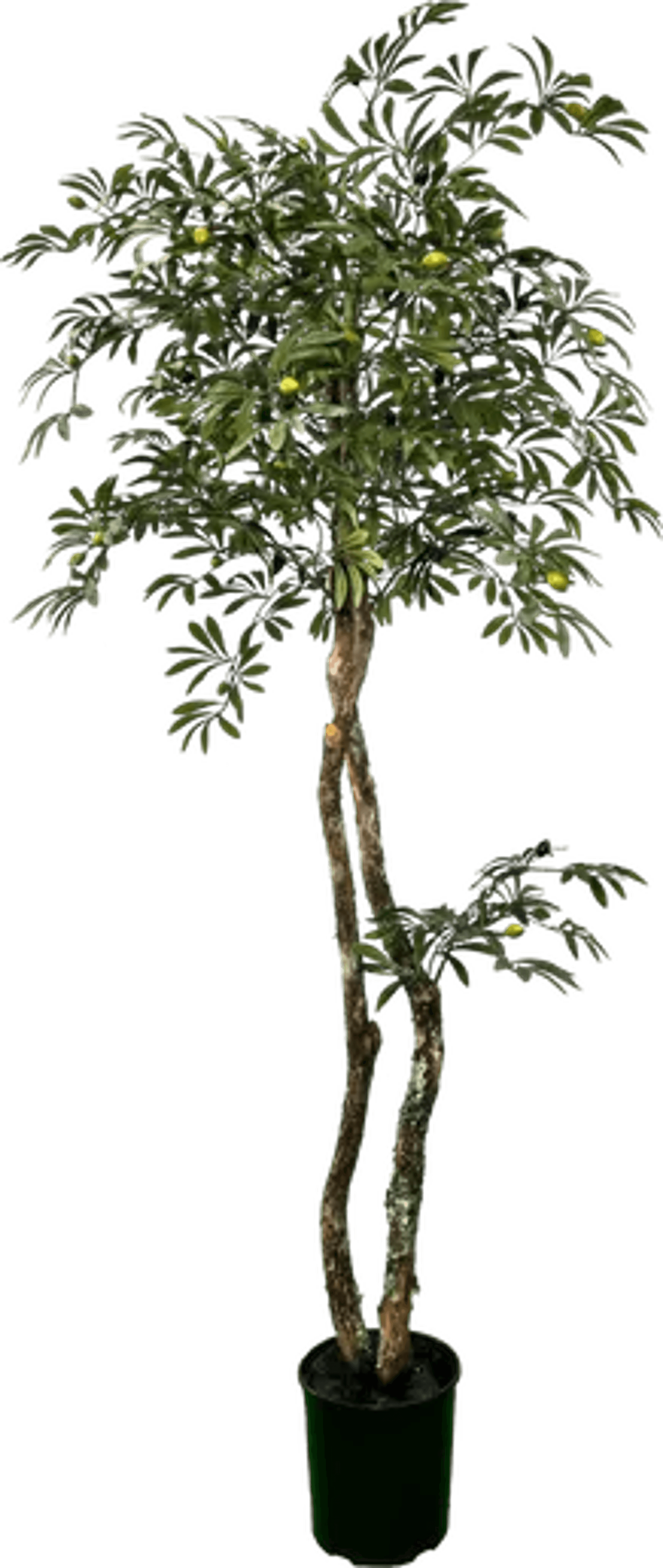 Lifelike 6' Artificial Mediterranean Olive Tree-2